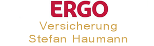 web-ergo-haumann ERGO