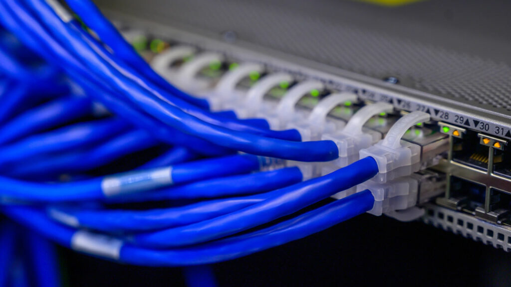 IT-Betreuung für den Gartenbau: blaue Netzwerkkabel am Patchfeld im Serverschrank von Wimmer Gartenbau