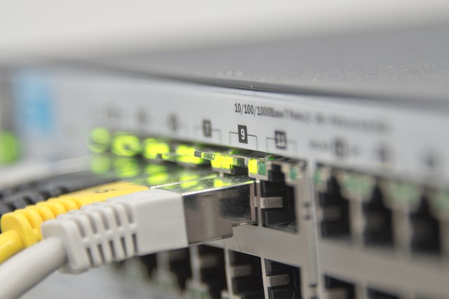 IT-Betreuung für die Tankstelle: Netzwerkswitch mit Ethernet-Kabeln (Symbolbild)